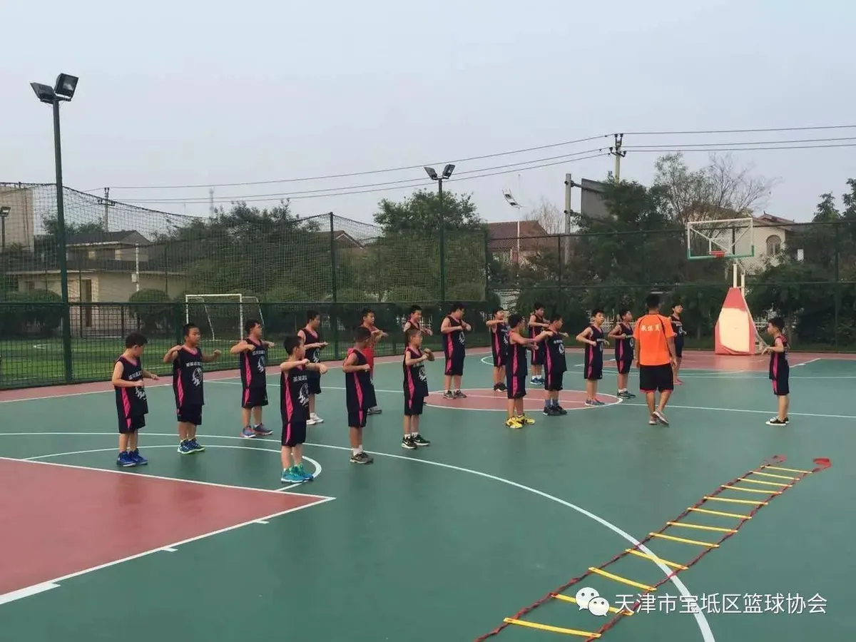 哪里可以找到专业的篮球训练咨询师_2